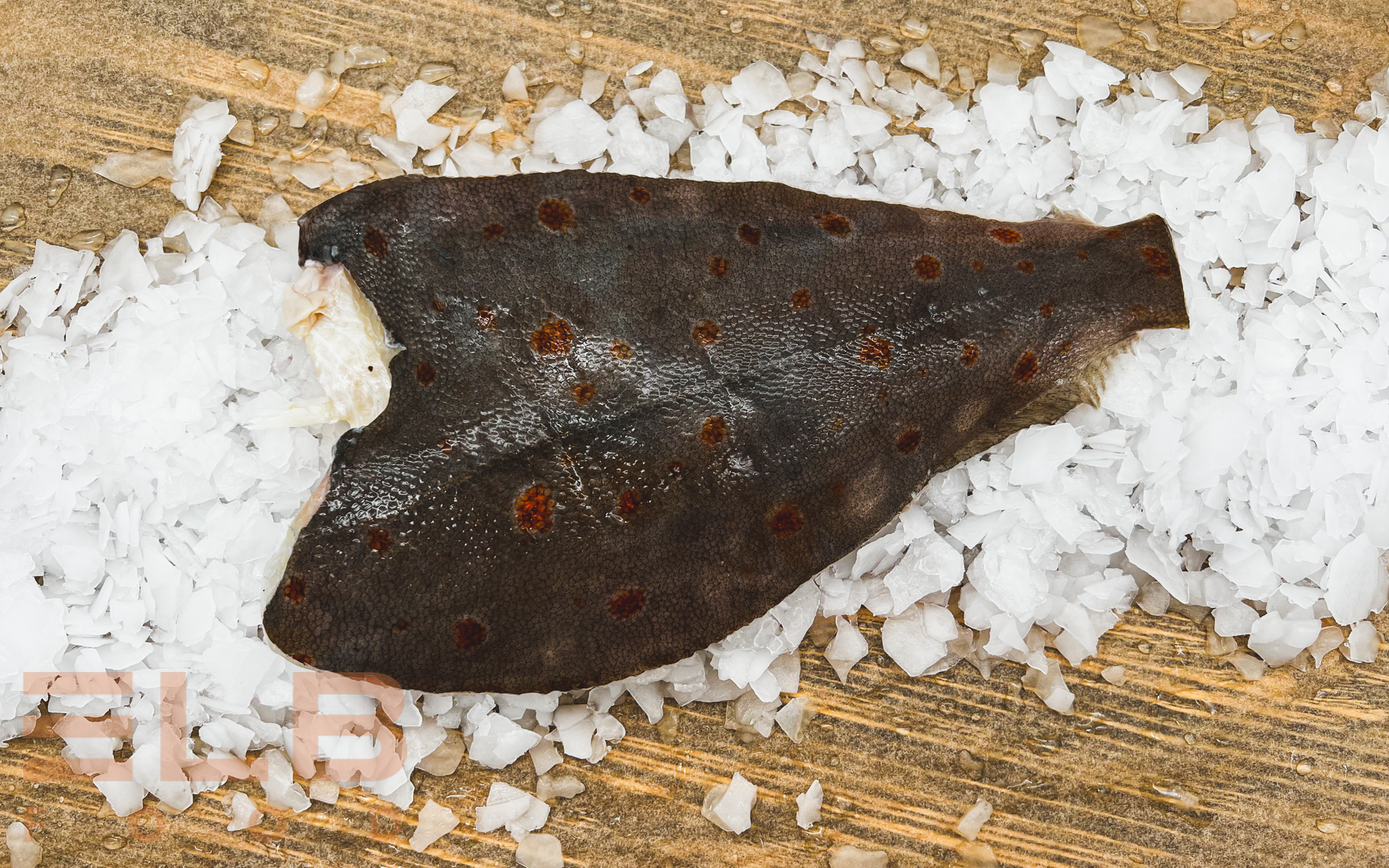 frische Scholle küchenfertig (ca.600g)