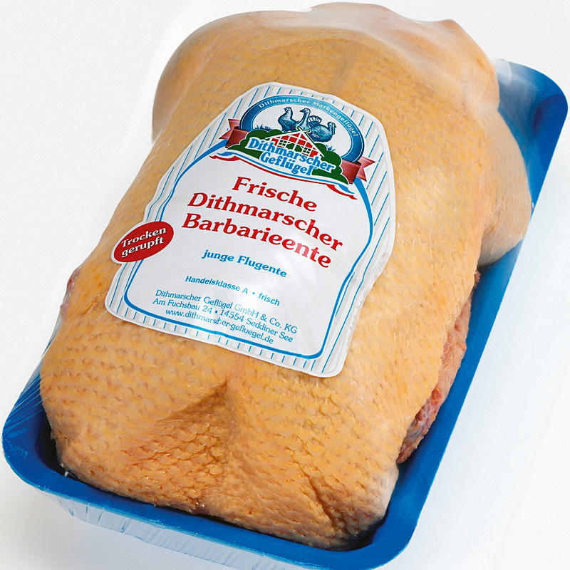 Dithmarscher Barbarieente männlich (ca.3000g)