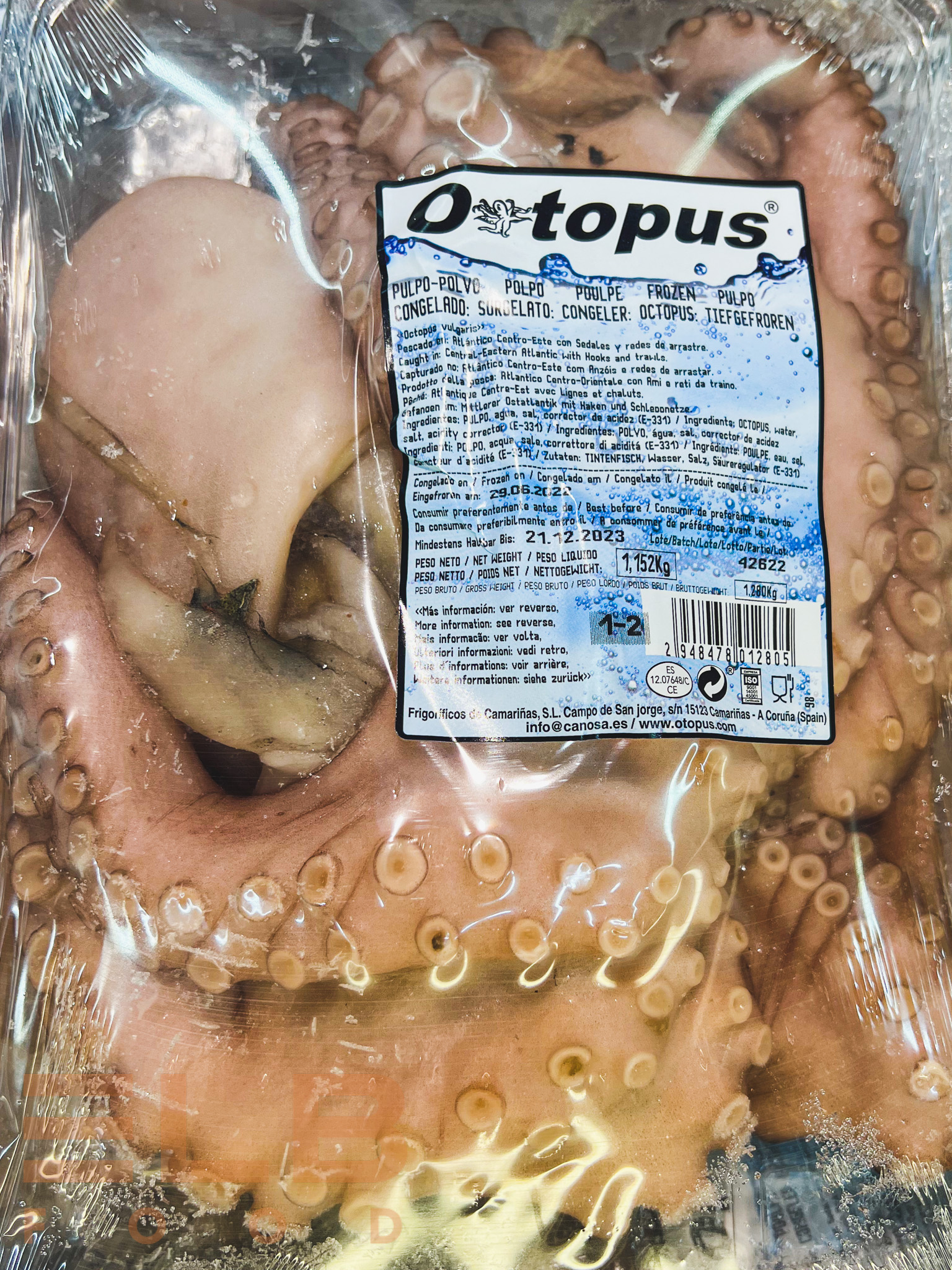 Pulpo (Octopus) TK (ca.1500g)
