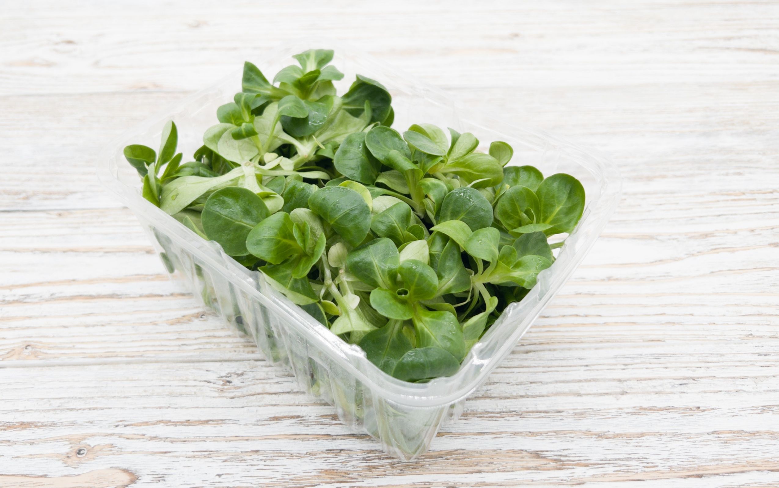 Feldsalat Bio (ca.125g)