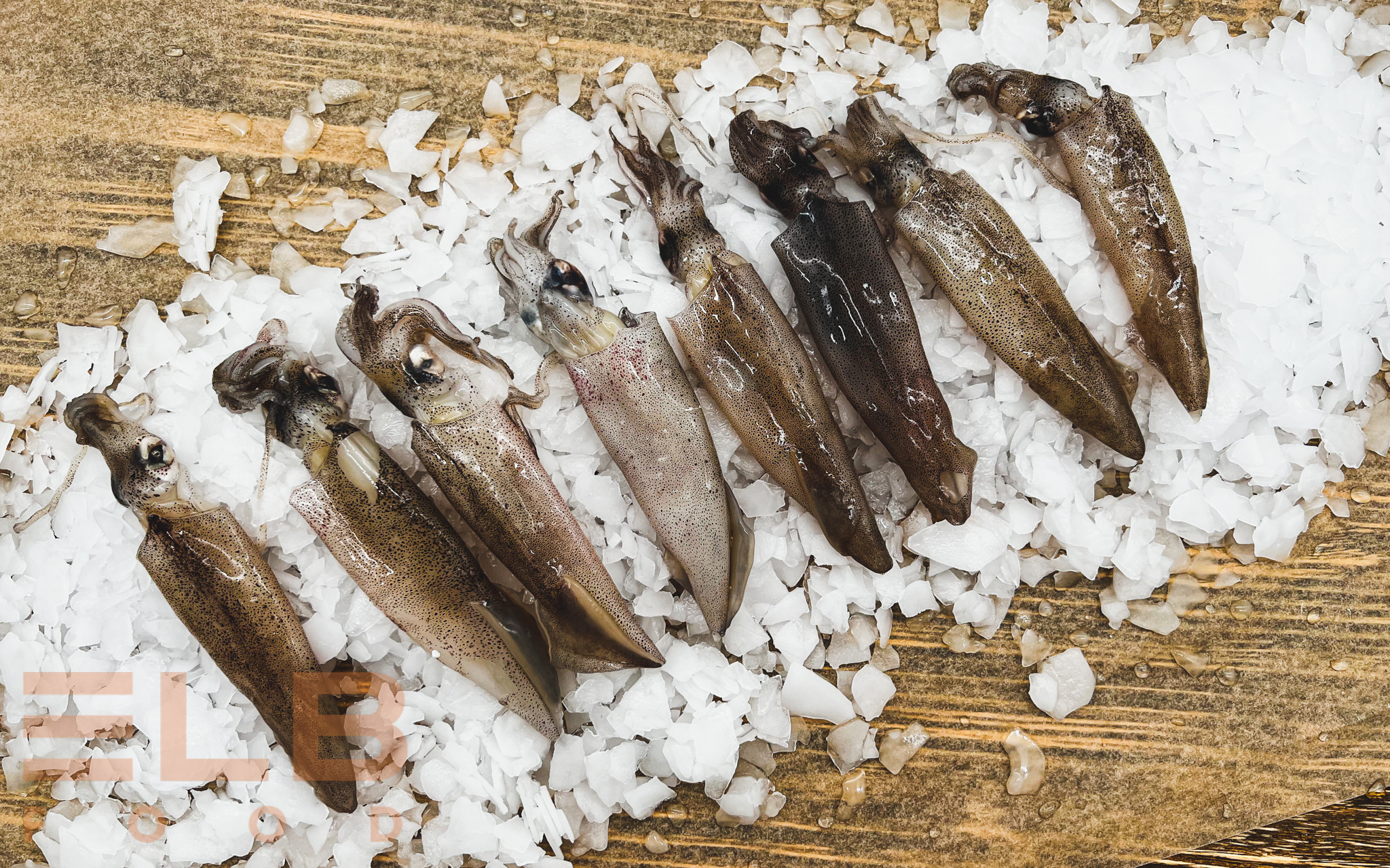 Calamaris (Tintenfisch) frisch (ca.500g)