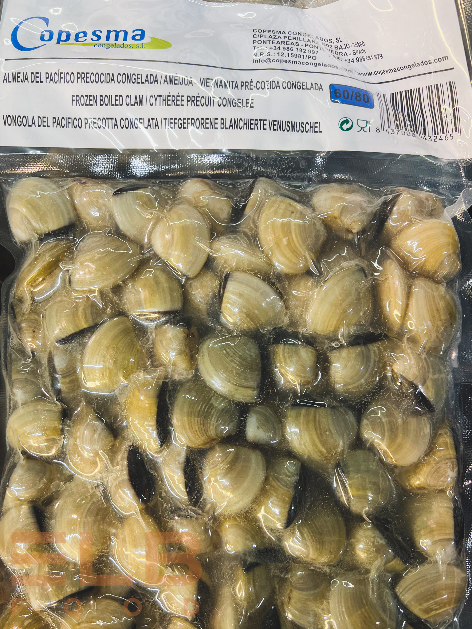 Venusmuscheln ganz TK (1kg)