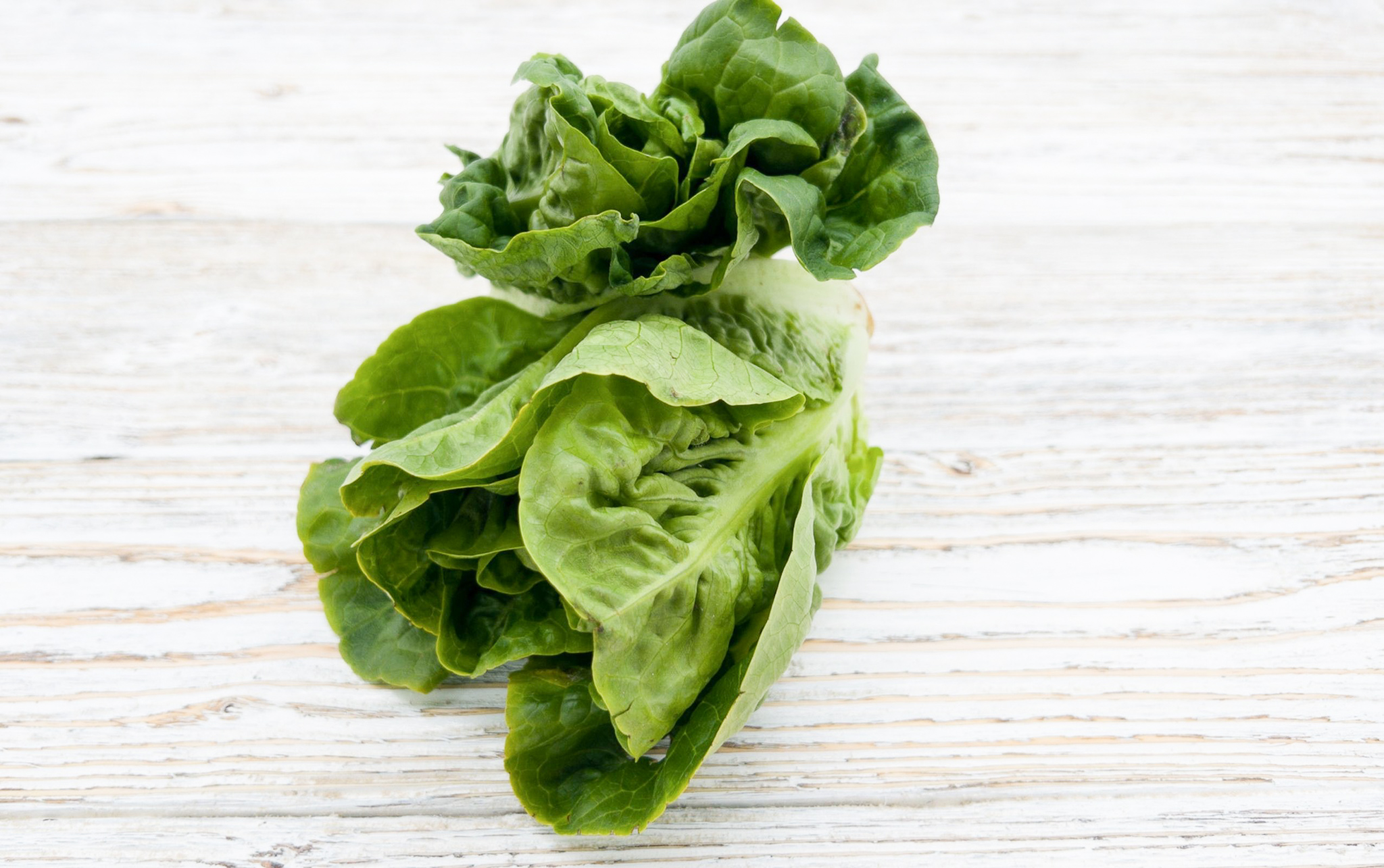 Römersalat 2 St. 